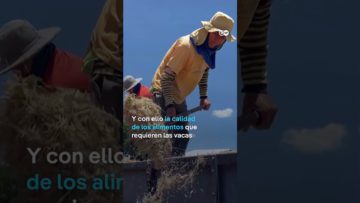 [ID: 83oCQMH3AVg] Youtube Automatic